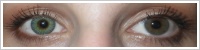 ColourVUE Fusion / Green/yellow -