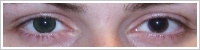 SofLens Natural Colors / Emerald -