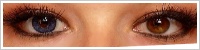 SofLens Natural Colors / Topaz -