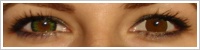 ColourVUE Big Eyes / Party green -