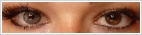 SofLens Natural Colors / Platinum -