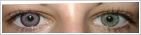ColourVUE Glamour / Violet -
