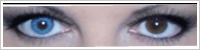 Acuvue 2 Colours - krycí / Modrá -