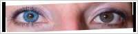 FreshLook ColorBlends / Briliant blue -