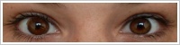 Acuvue 2 Colours - krycí / Kaštanová -