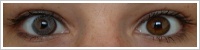 Acuvue 2 Colours - krycí / Šedá -