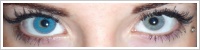 FreshLook ColorBlends / Blue -