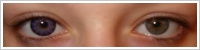 ColourVUE Big Eyes / Ultra violet -