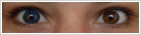 Acuvue 2 Colours - krycí / Modrá -