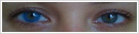Acuvue 2 Colours - krycí / Modrá -