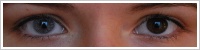 Acuvue 2 Colours - krycí / Šedá -