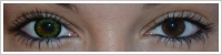 ColourVUE Big Eyes / Party green -