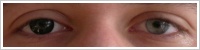 ColourVUE Big Eyes / Dolly black -