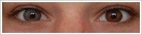 FreshLook ColorBlends / Sterling grey -
