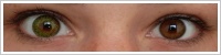 FreshLook ColorBlends / Gemstone green -