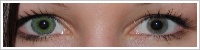 ColourVUE Fusion / Green/yellow -
