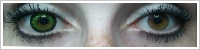 ColourVUE Big Eyes / Party green -