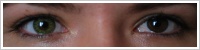 FreshLook ColorBlends / Gemstone green -