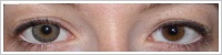 Magic Eye (2 čočky) - nedioptrické / Gray -