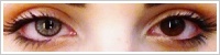 SofLens Natural Colors / Platinum -