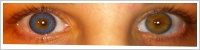 FreshLook ColorBlends / Briliant blue -