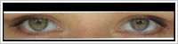 FreshLook ColorBlends / Gemstone green -