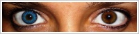 FreshLook ColorBlends / True sapphire -