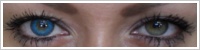 FreshLook ColorBlends / Briliant blue -