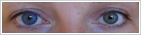 FreshLook ColorBlends / True sapphire -