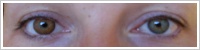 FreshLook ColorBlends / Honey -