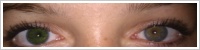FreshLook ColorBlends / Gemstone green -