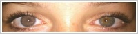 Magic Eye (2 čočky) - nedioptrické / Gray -