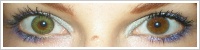 FreshLook ColorBlends / Gemstone green -