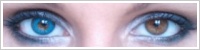 FreshLook ColorBlends / Briliant blue -