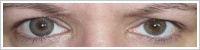 Magic Eye (2 čočky) - nedioptrické / Gray -