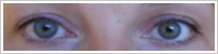 FreshLook ColorBlends / Sterling grey -