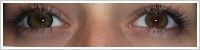 ColourVUE Big Eyes / Party green -