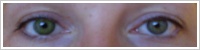 FreshLook ColorBlends / Gemstone green -