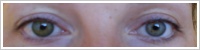 FreshLook ColorBlends / Green -