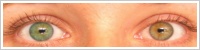 Acuvue 2 Colours - tónovací / Zelená -