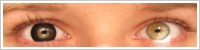 ColourVUE Big Eyes / Dolly black -