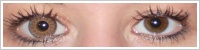 ColourVUE Glamour / Honey -
