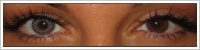 FreshLook ColorBlends / Sterling grey -