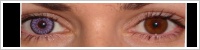 SofLens Natural Colors / Indigo -