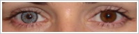 SofLens Natural Colors / Platinum -