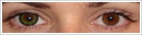 ColourVUE Big Eyes / Party green -