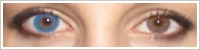 FreshLook Colors / Sapphire blue -