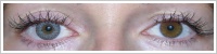 FreshLook ColorBlends / Sterling grey -