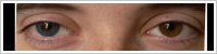 FreshLook ColorBlends / True sapphire -