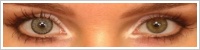 SofLens Natural Colors / Platinum -